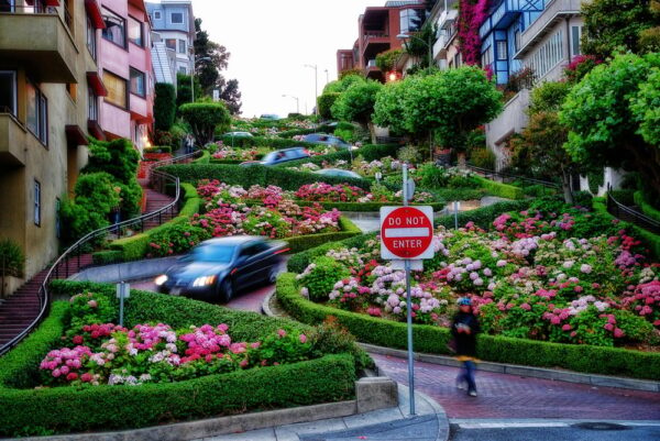 Exploring Lombard Street: The Crookedest Street in the World